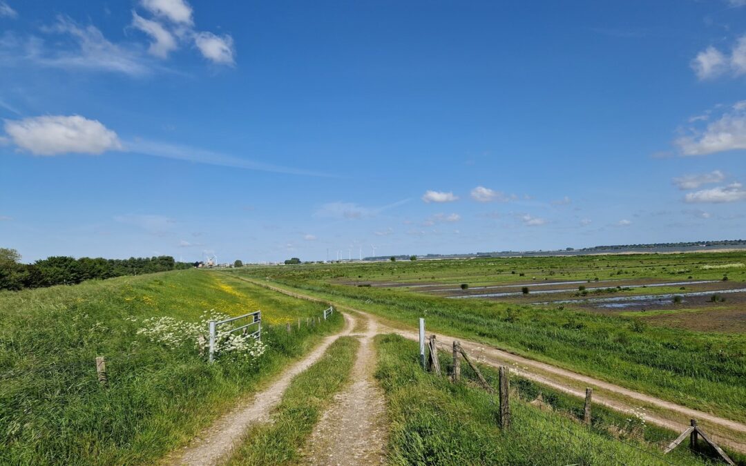 Update Dijkversterking Willemstad-Noordschans